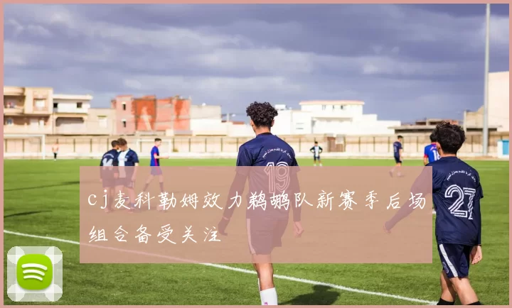 cj麦科勒姆效力鹈鹕队新赛季后场组合备受关注
