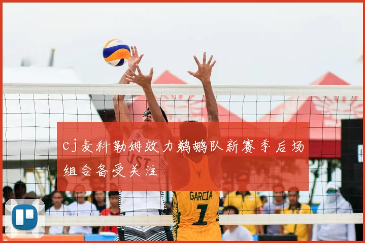 cj麦科勒姆效力鹈鹕队新赛季后场组合备受关注