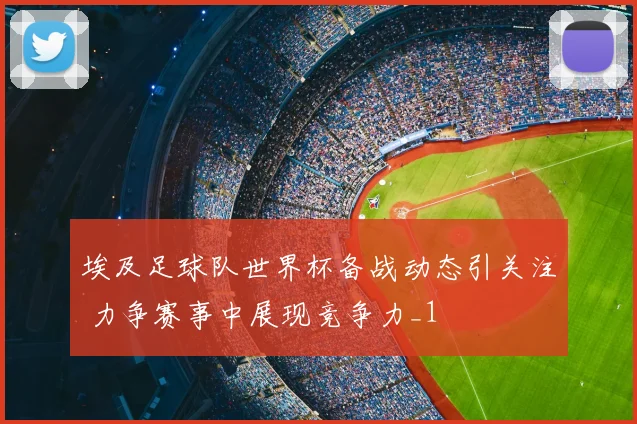 埃及足球队世界杯备战动态引关注 力争赛事中展现竞争力_1