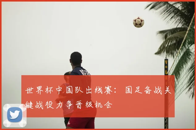 世界杯中国队出线赛:国足备战关键战役力争晋级机会